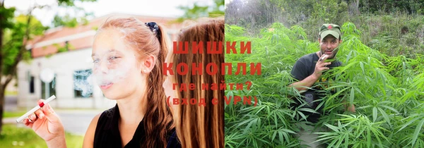 стаф Пестово