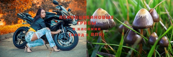 стаф Пестово