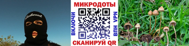 Псилоцибиновые грибы Psilocybine cubensis  hydra зеркало  Шелехов  купить наркотик 